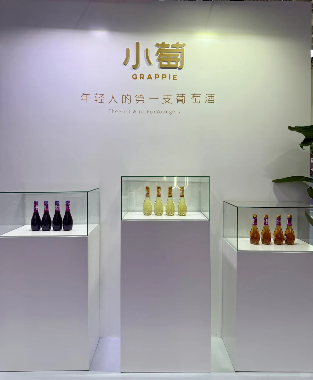 连续3天,宁夏葡萄酒会喝开心了?