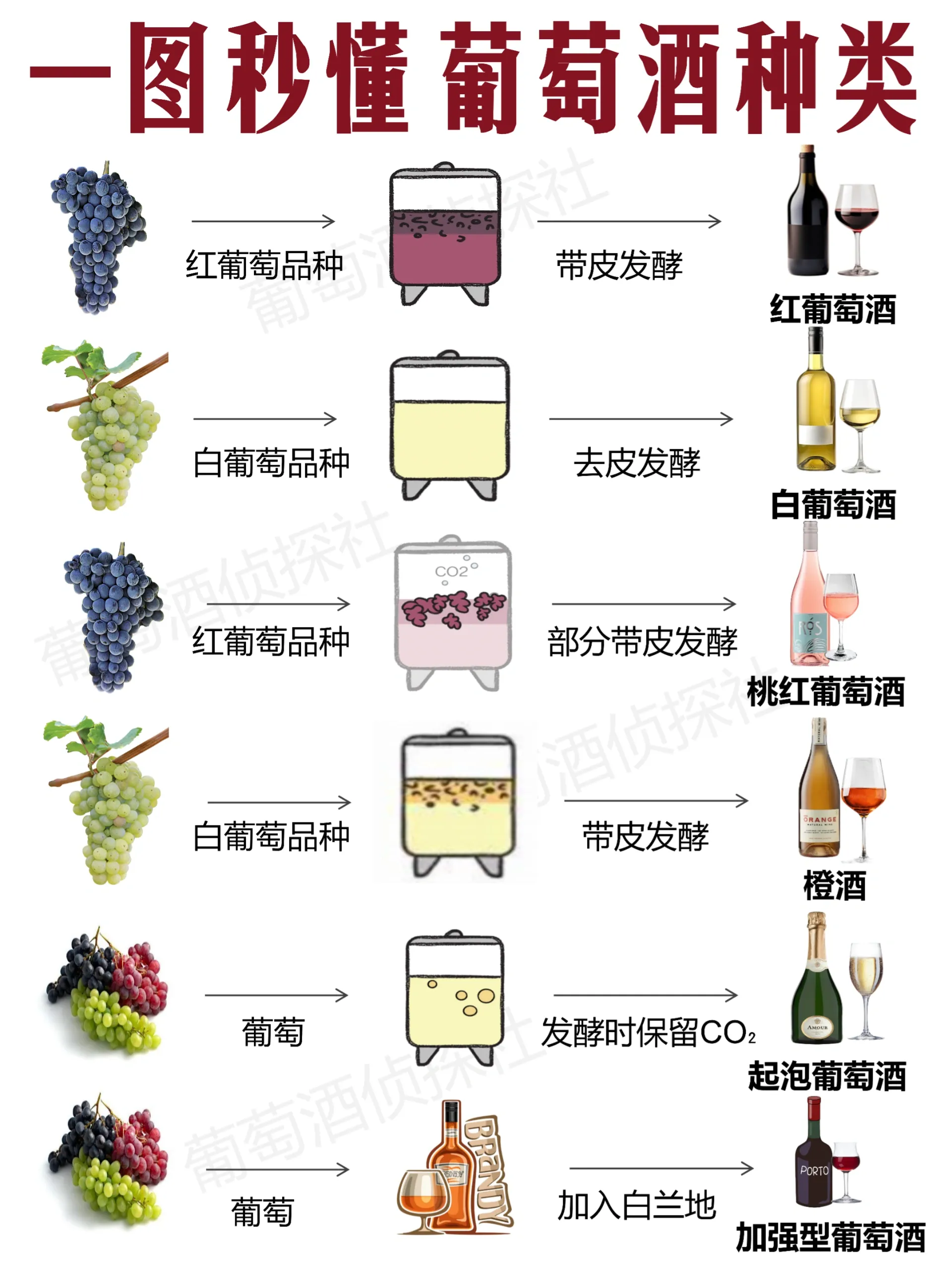 葡萄酒天花板竟然不是干红?6大种类了解下