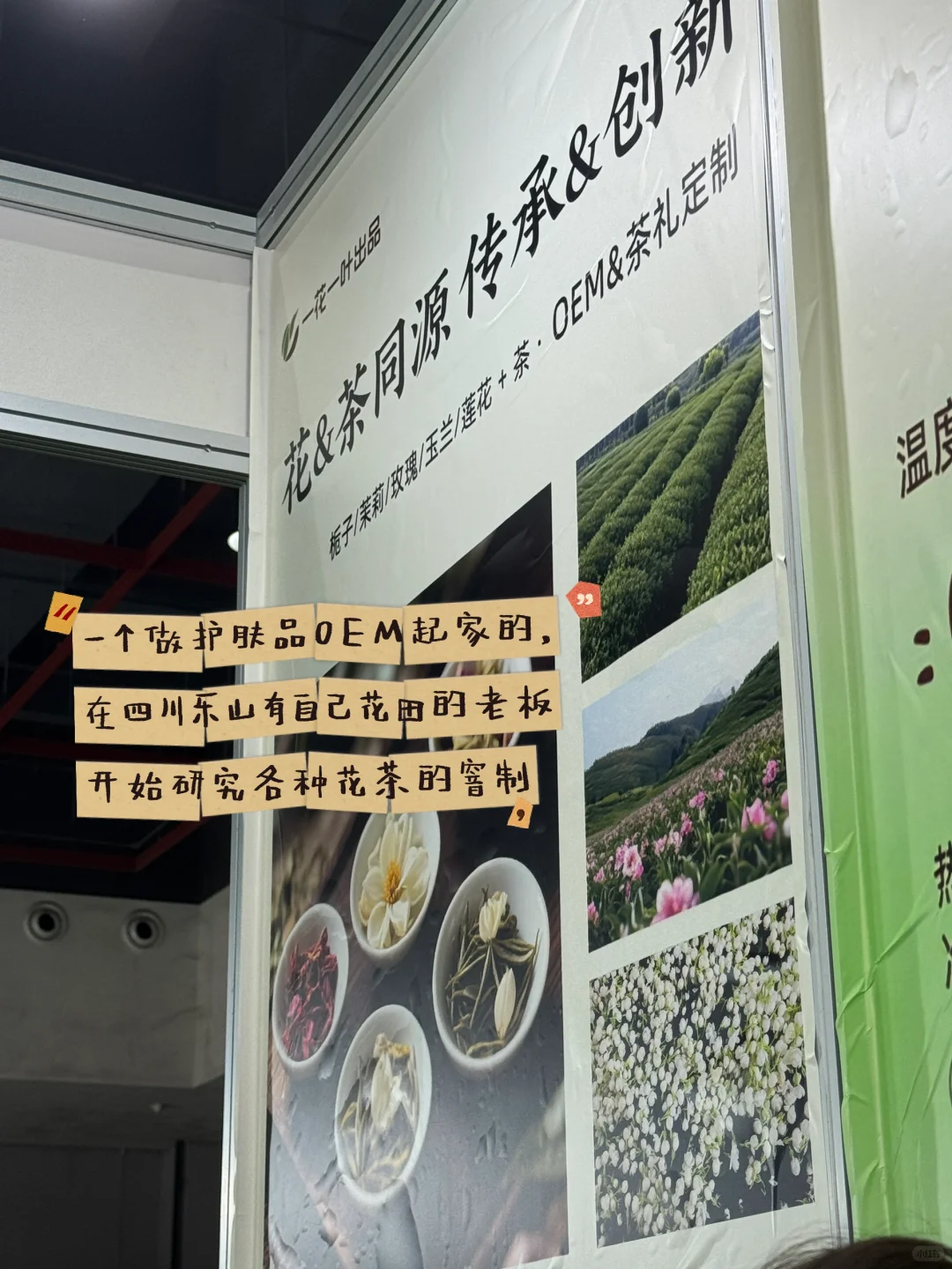 广州茶博会——2小时就够