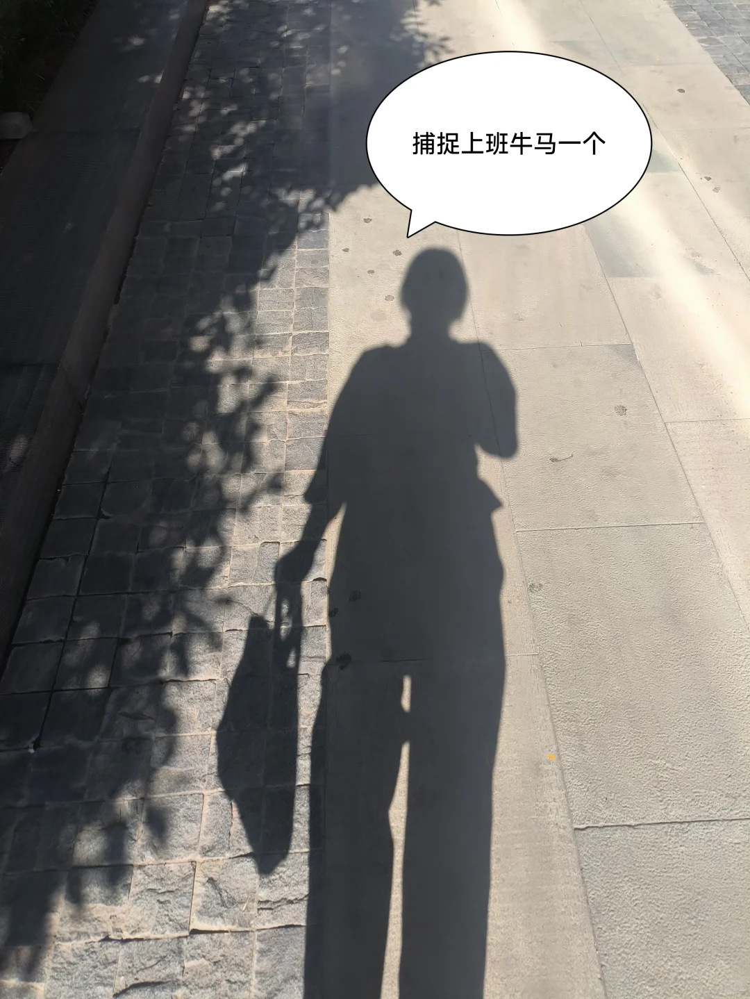?00后入职白酒招商！谁说年轻人不喝白酒