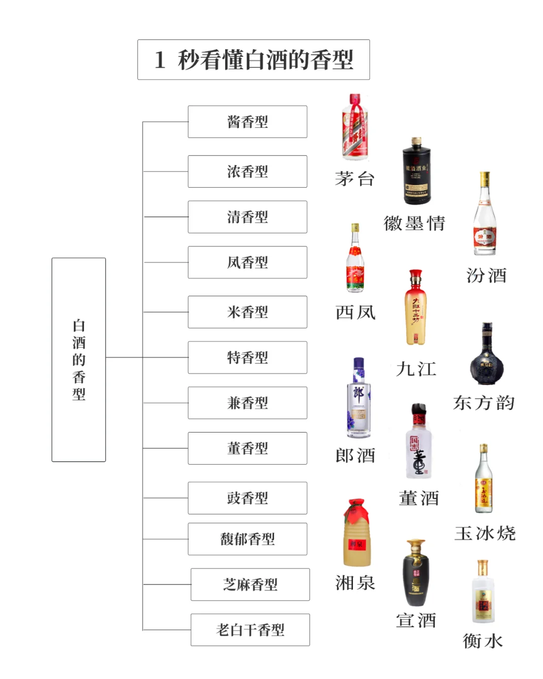1秒看懂白酒的香型