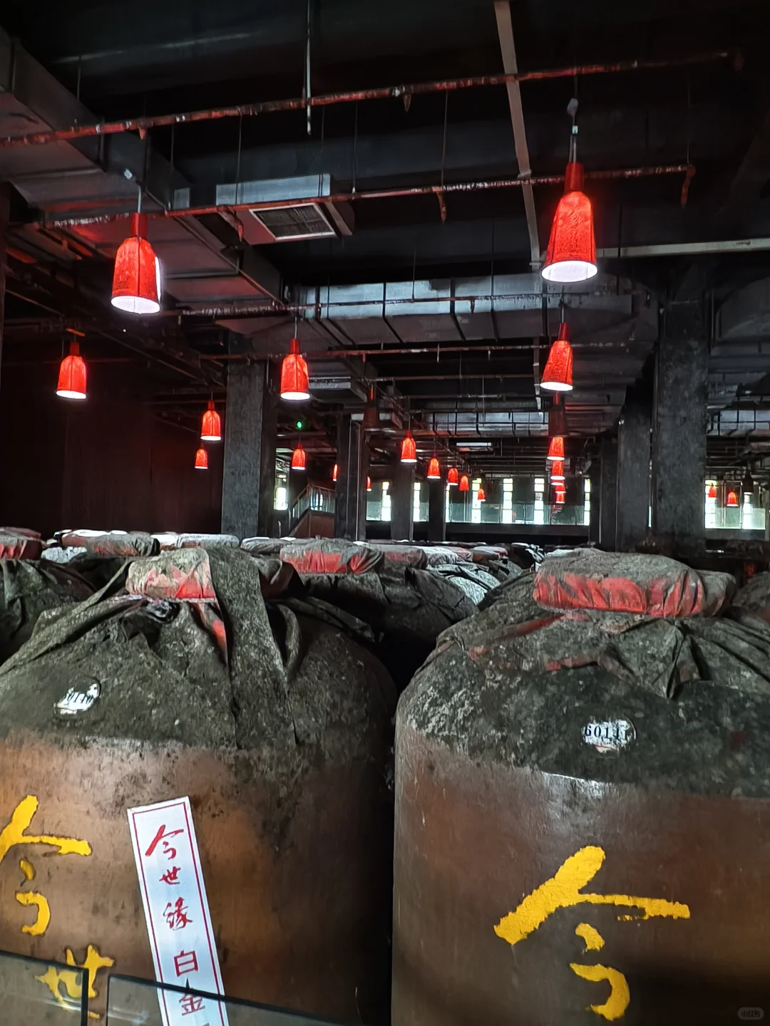 参观1.5亿国缘酒厂展厅，壕！