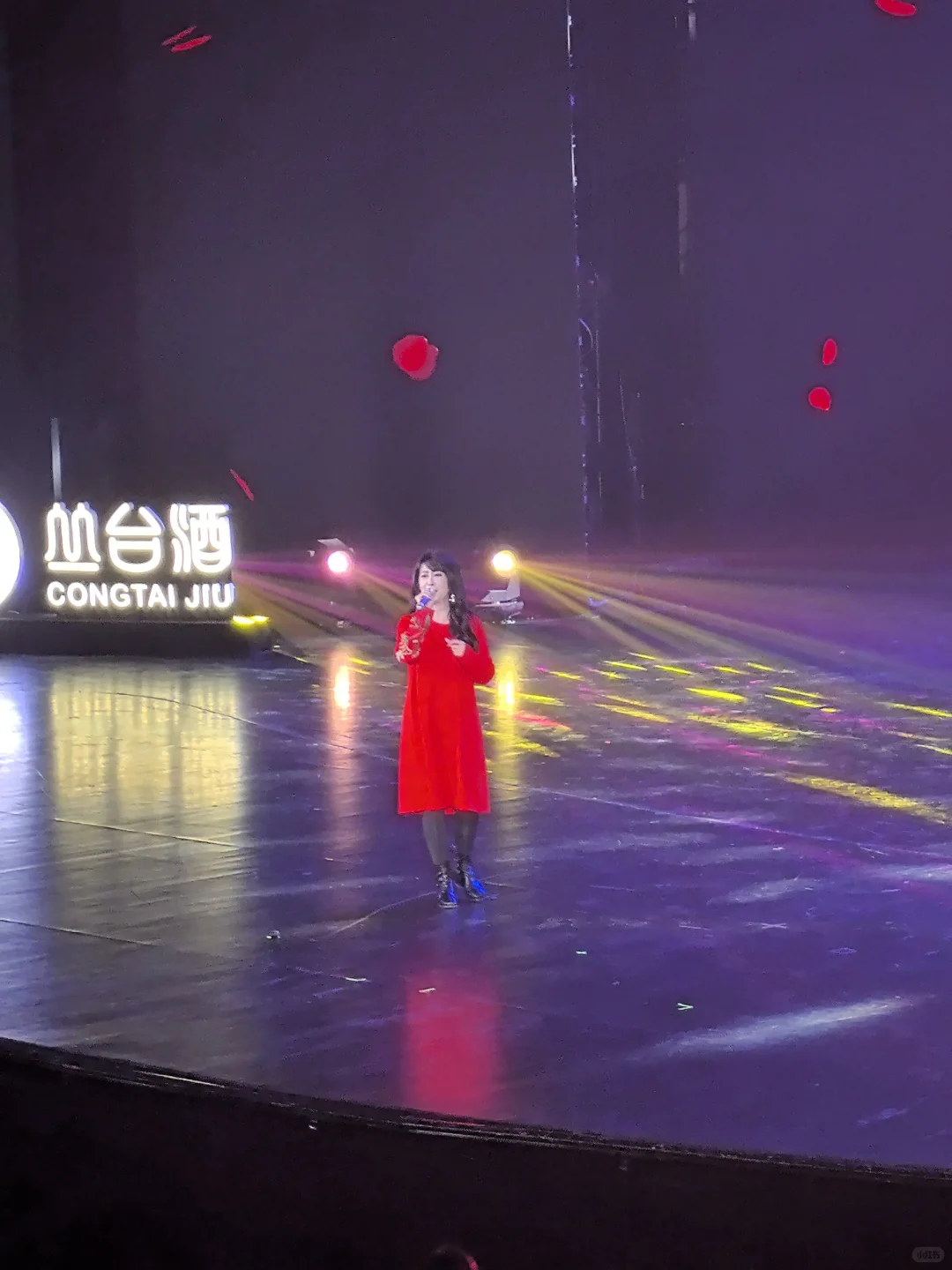丛台酒业2025新春联欢晚会