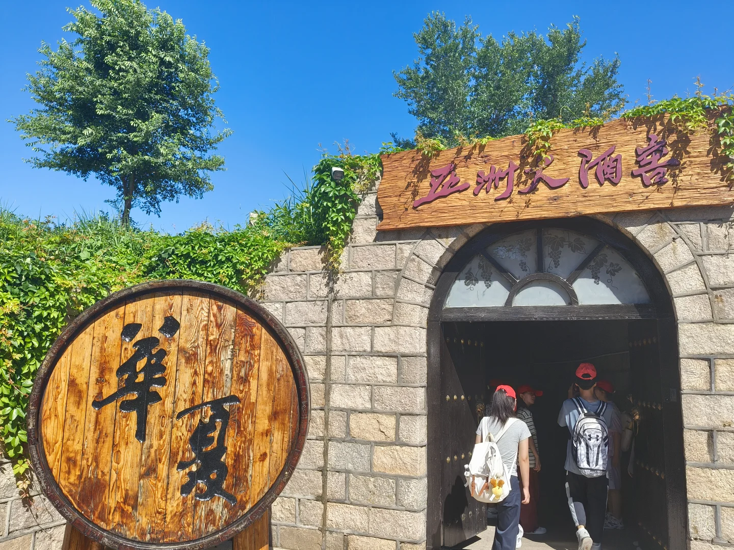 葡香筑梦｜在昌黎解锁葡萄酒的“诞生密码”