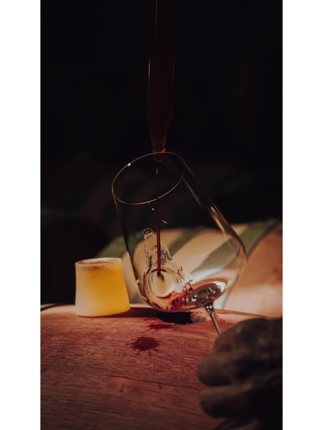 葡萄酒文案：活在当下