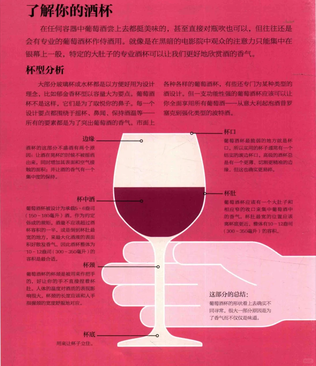 葡萄酒基础知识｜开瓶、醒酒、酒杯、温度