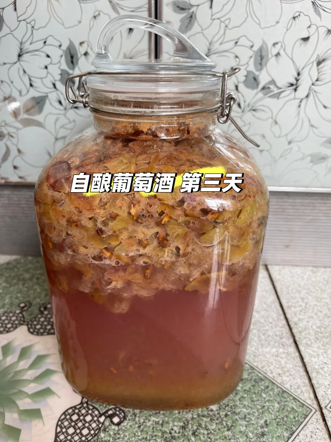 自酿葡萄酒 第三天