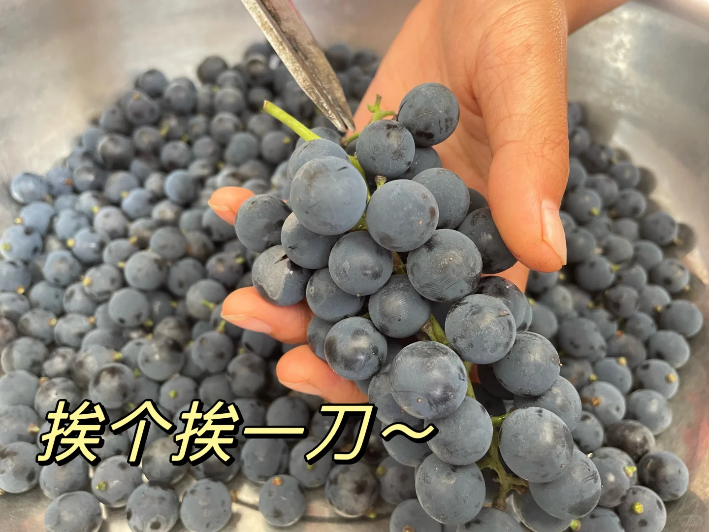 酿葡萄酒?