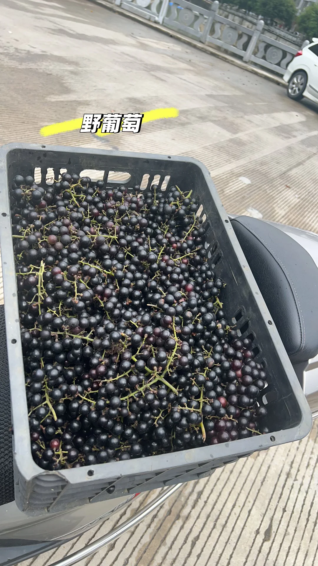 今年买了50斤野葡萄，自酿葡萄酒试一试