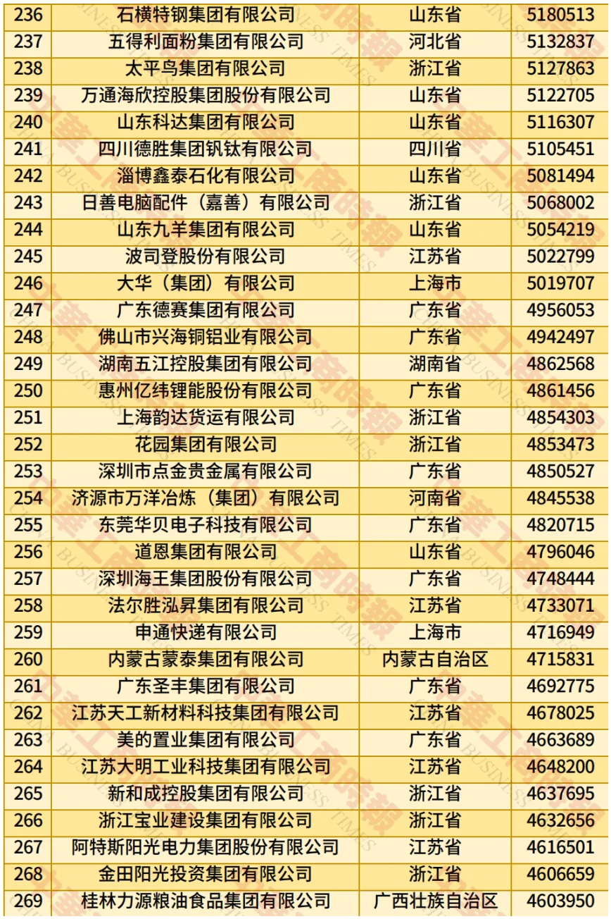 2025年中国民营企业500强榜单