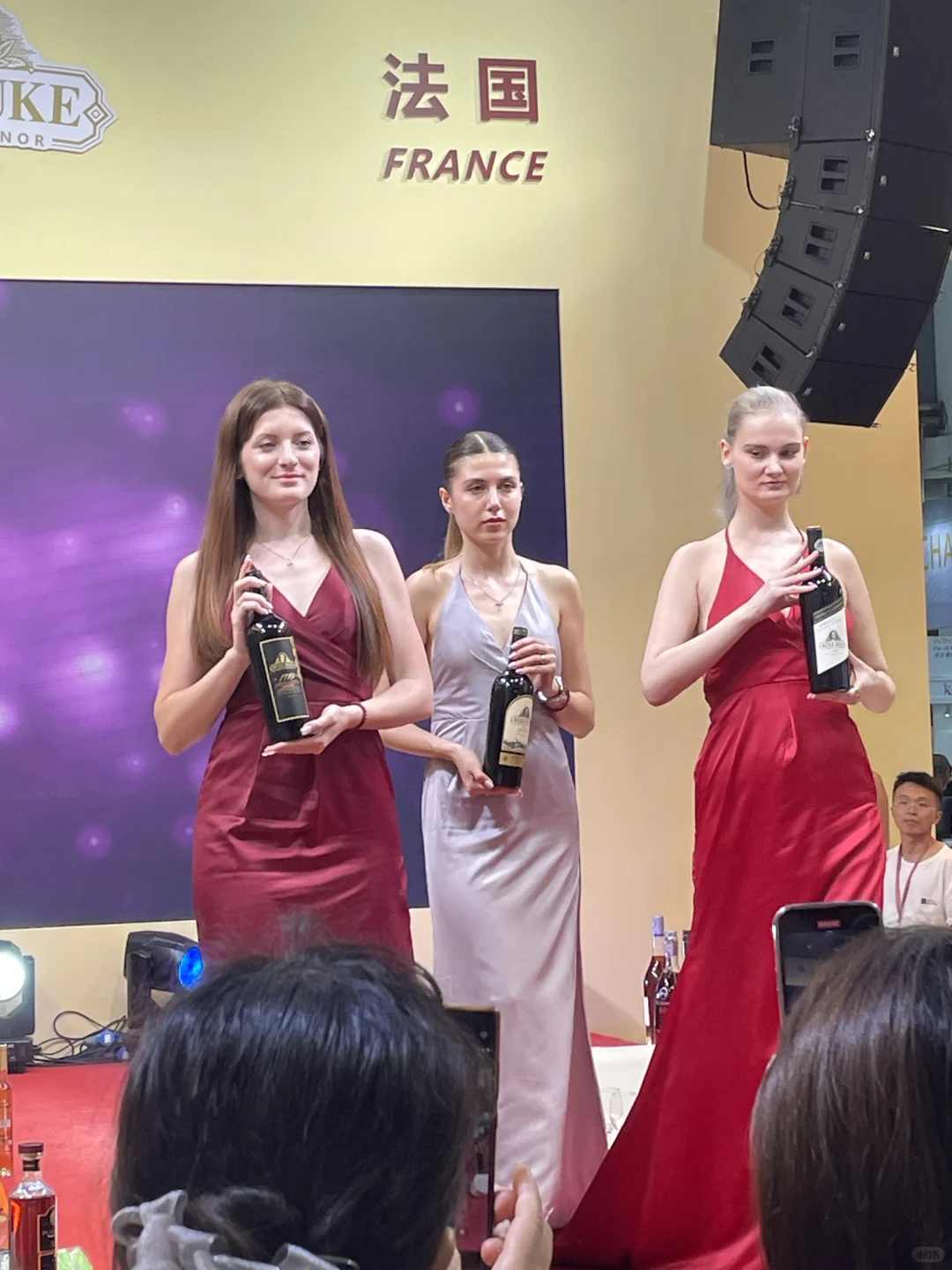 14届中国（贵州）国际酒博会上的法国模特儿