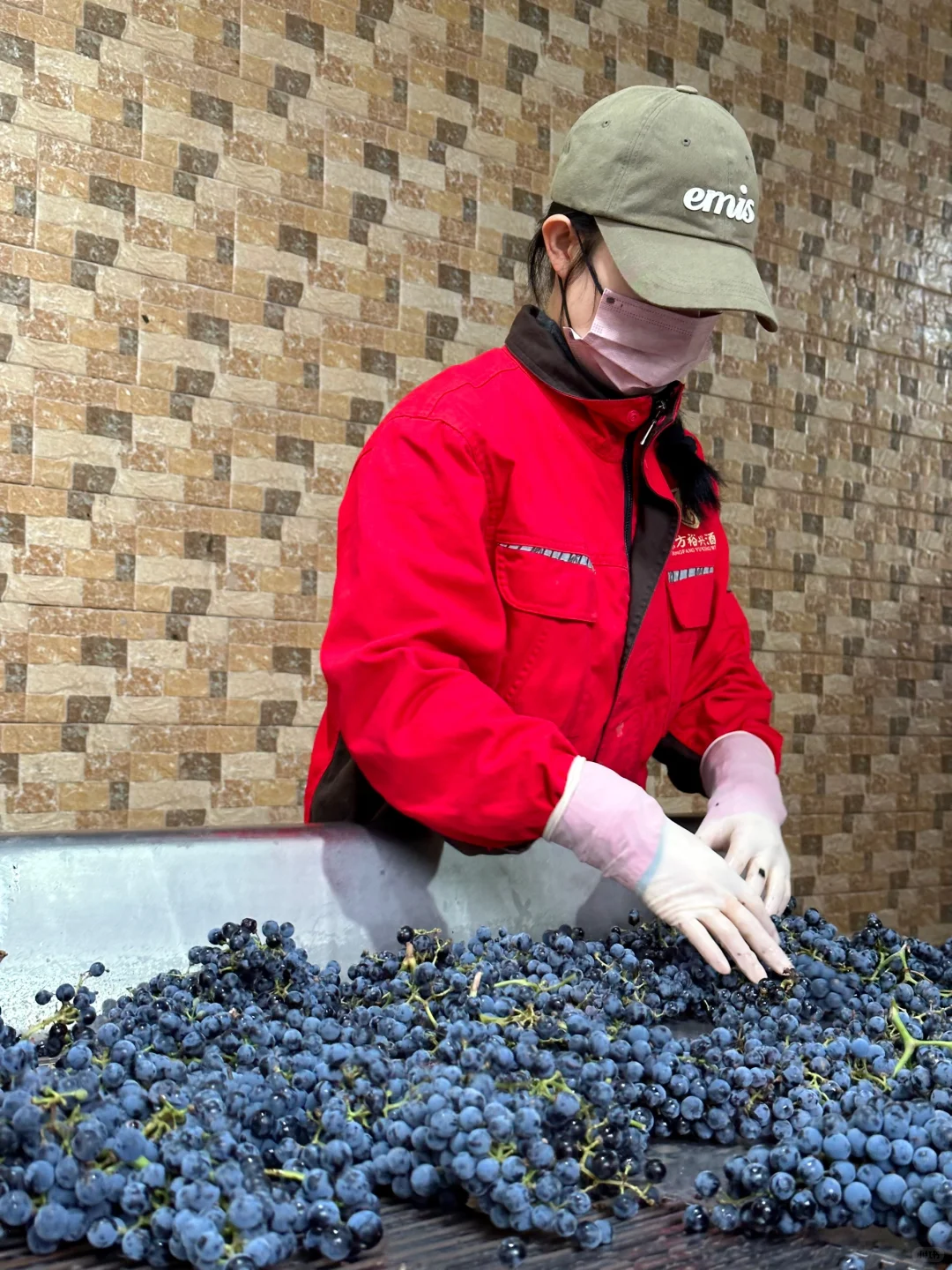 十年老实做真酒|口粮红酒性价比“黑马”来了!