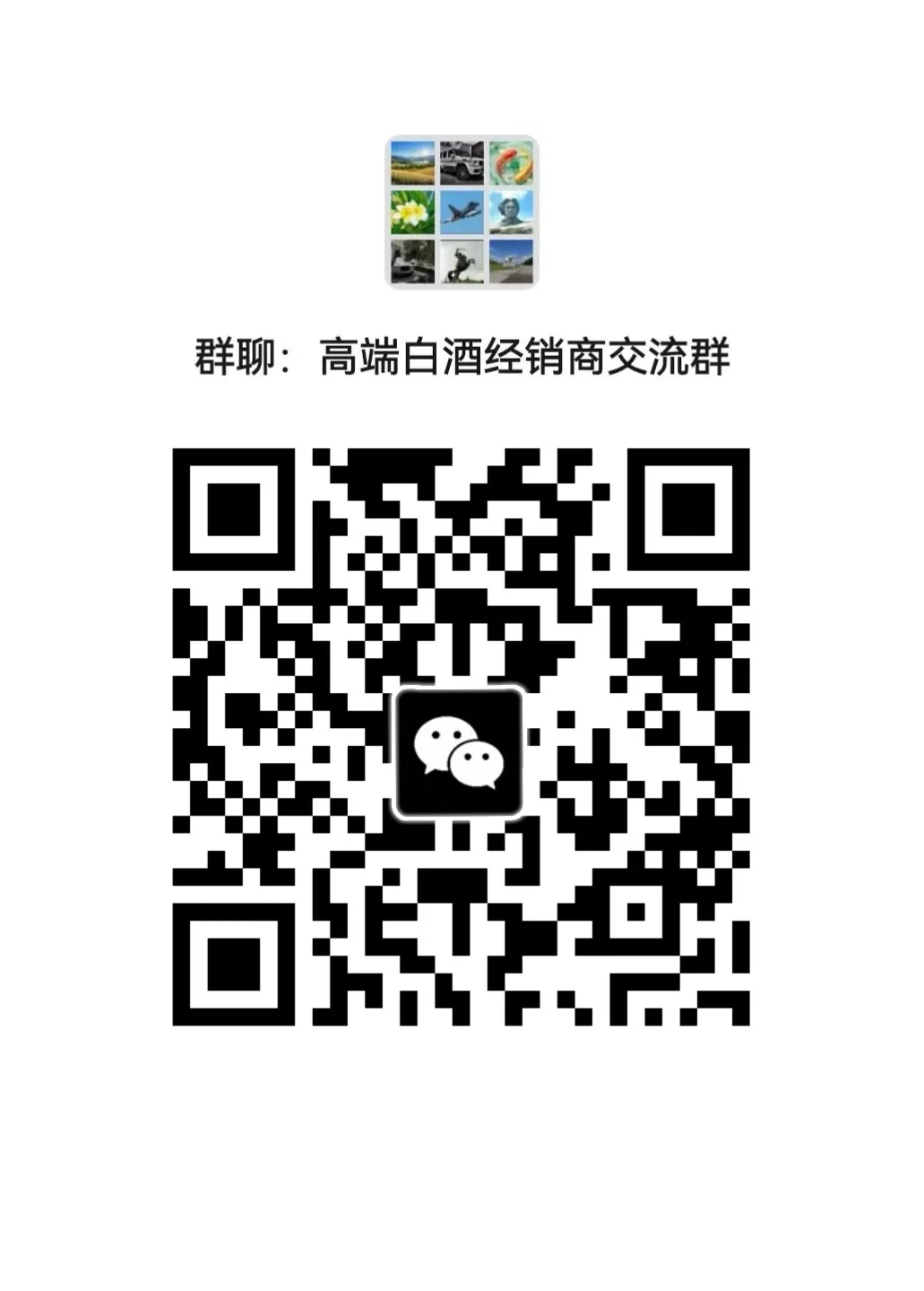 高端白酒交流群