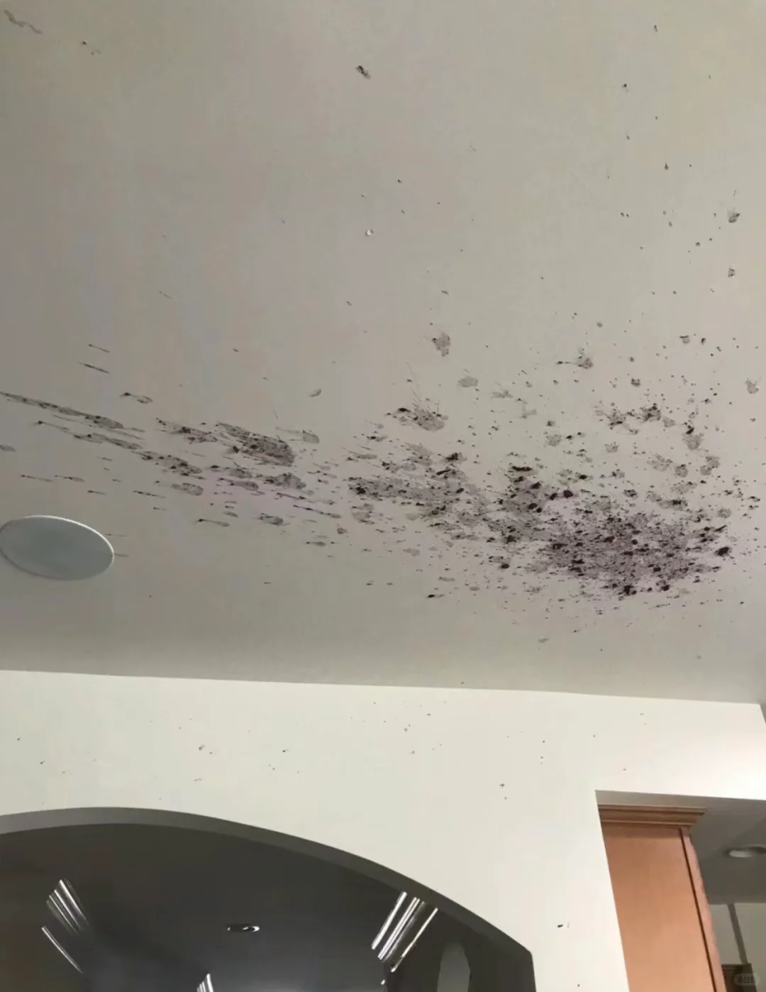 自酿葡萄酒、果酒密封发酵，瓶盖去哪儿了