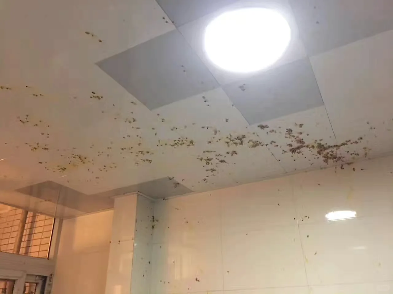 自酿葡萄酒、果酒密封发酵，瓶盖去哪儿了