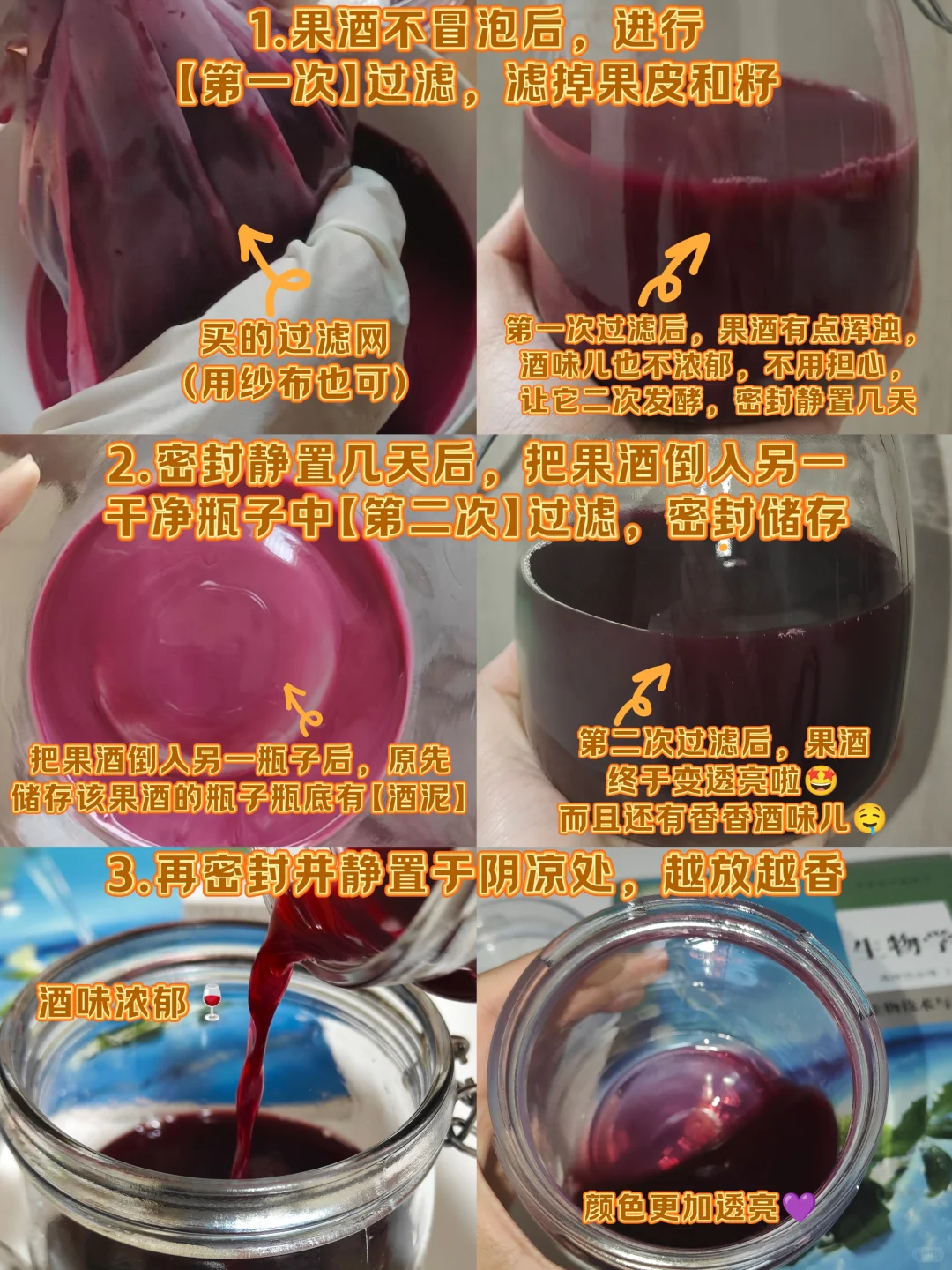【高中生物果酒制作】经验总结➕注意事项