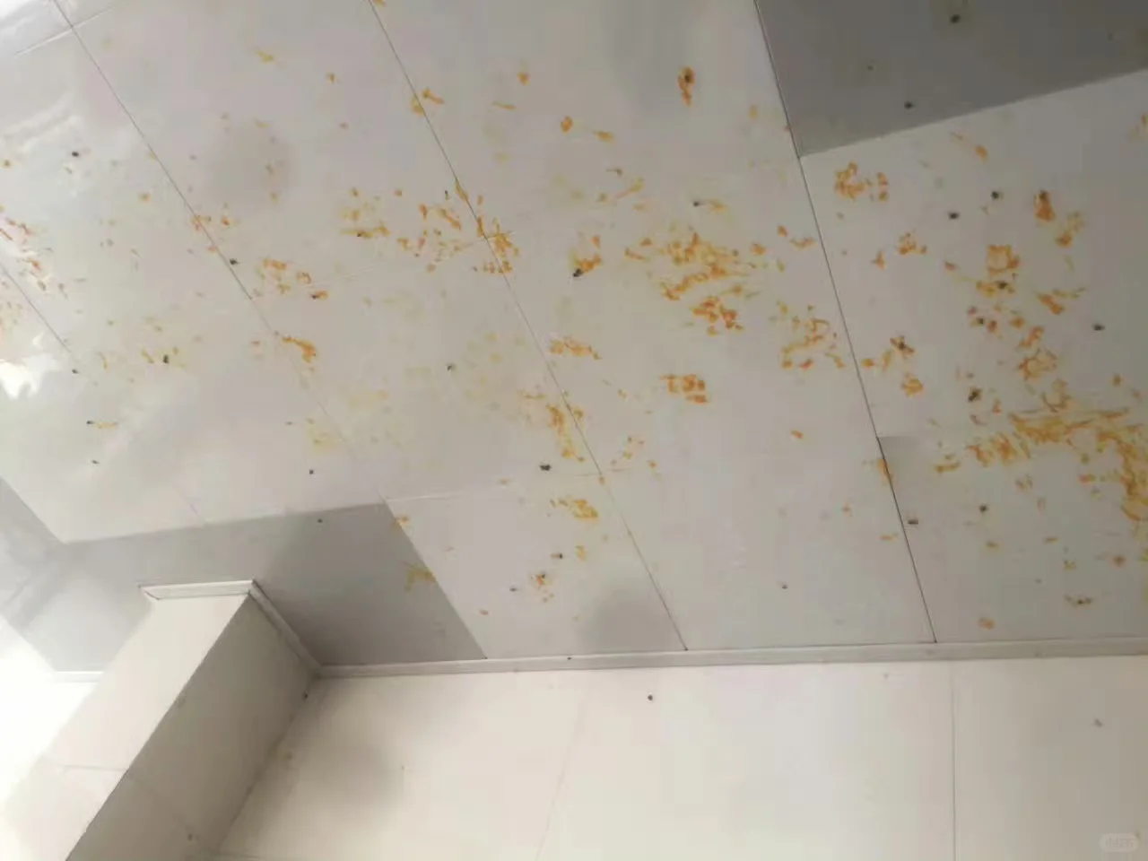 自酿葡萄酒、果酒密封发酵，瓶盖去哪儿了