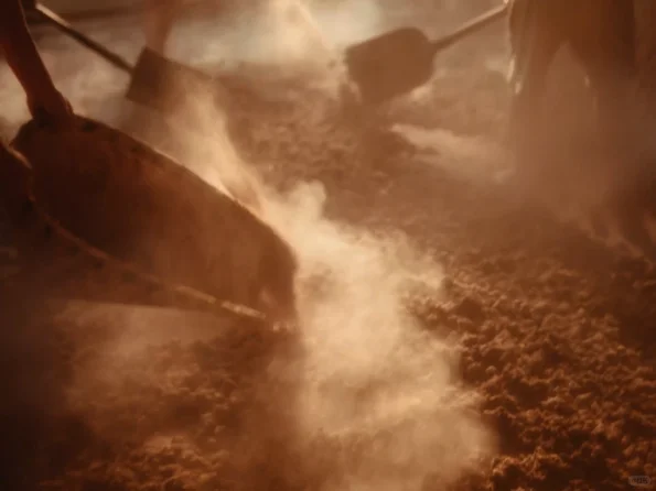 寒露 | 万物通透，回归本真