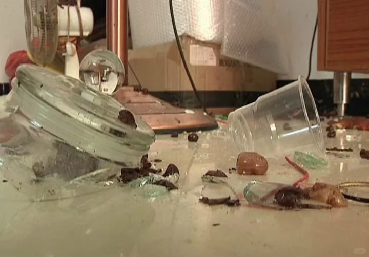 自酿葡萄酒、果酒密封发酵，瓶盖去哪儿了