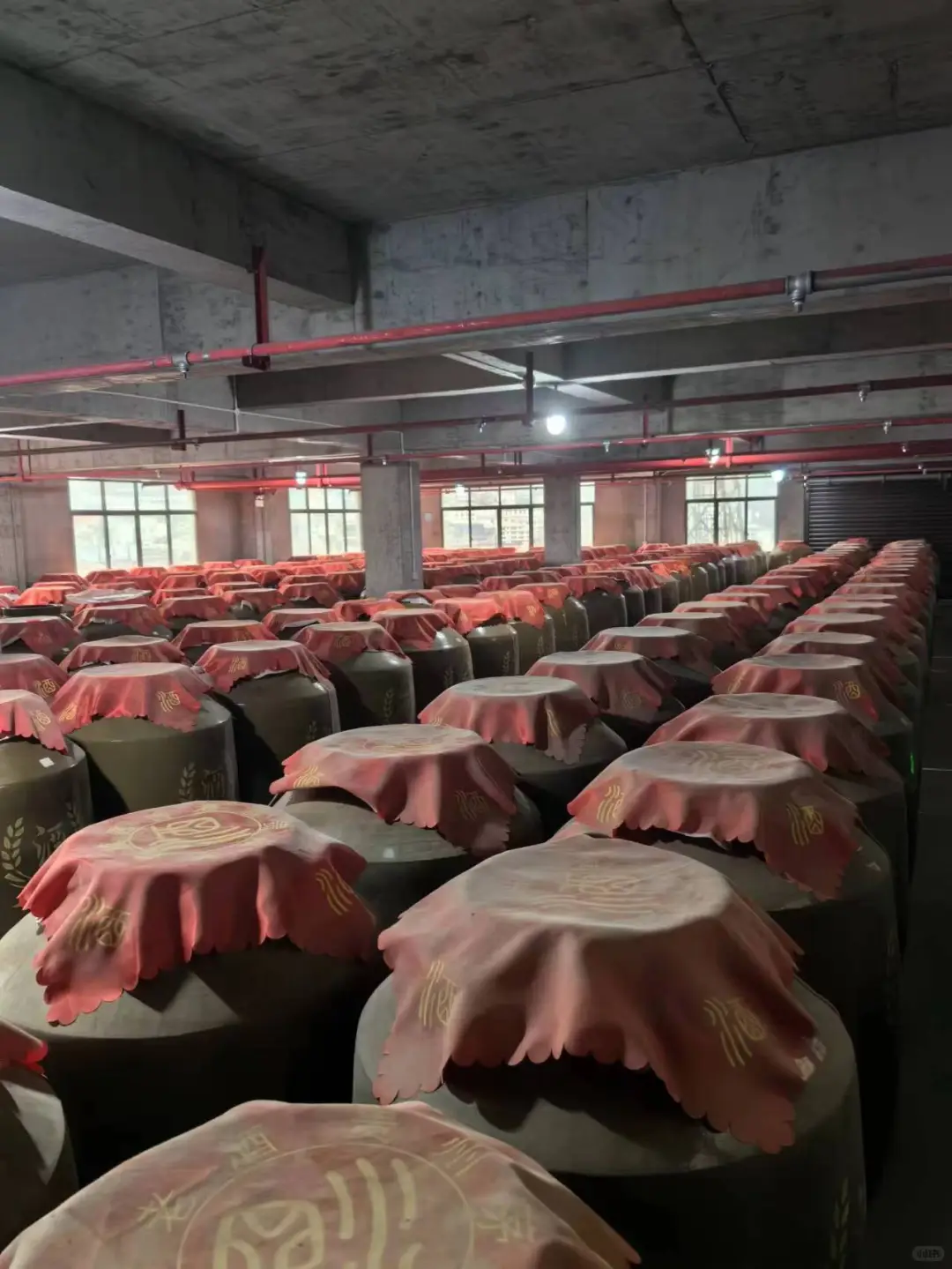 今天天气好，来酒库转转