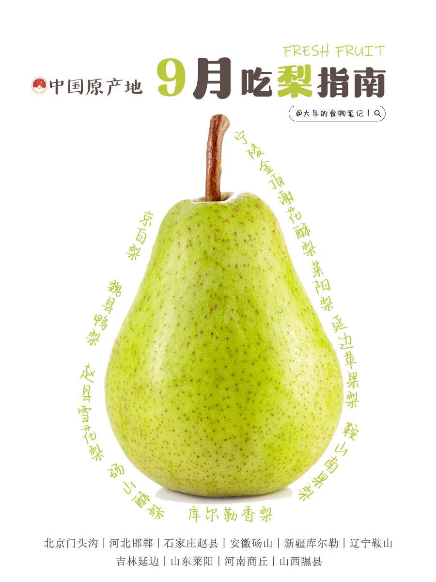 9月吃梨指南|原产地、品种介绍