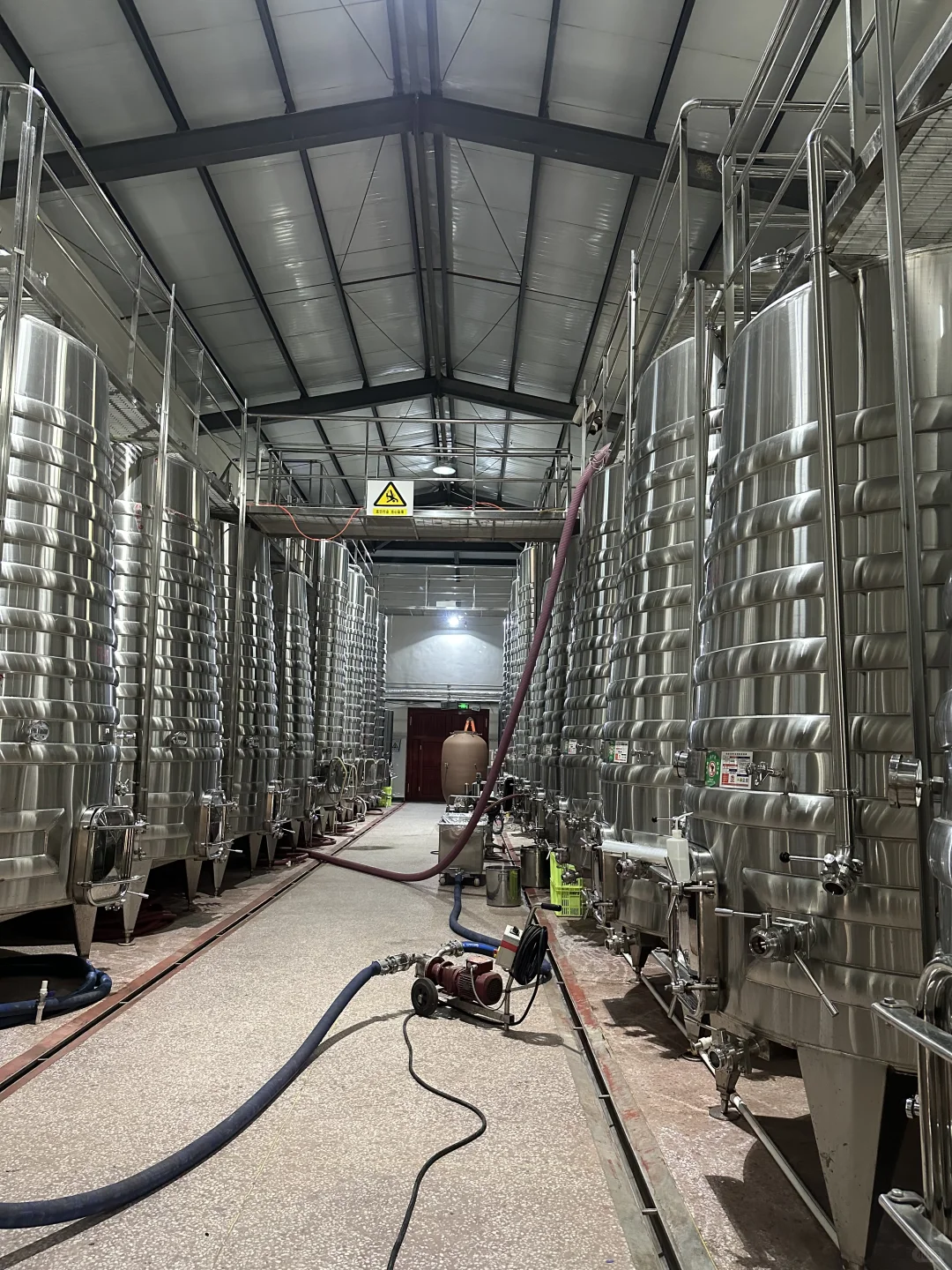 口粮真酿葡萄酒｜100%葡萄原浆 无科技与狠活