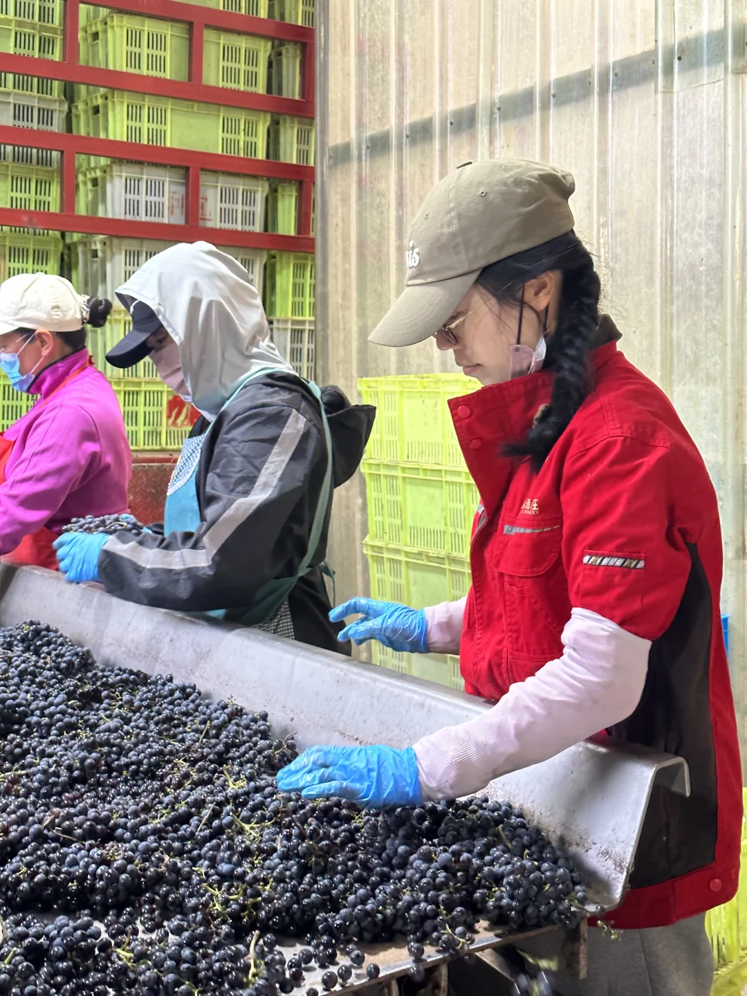 口粮真酿葡萄酒｜100%葡萄原浆 无科技与狠活