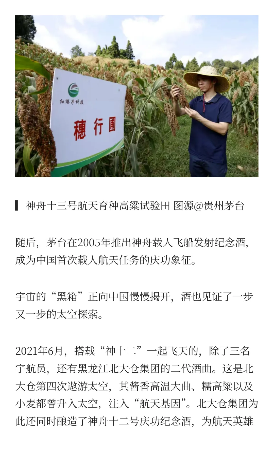 杯中春秋，畅饮庆功之酒