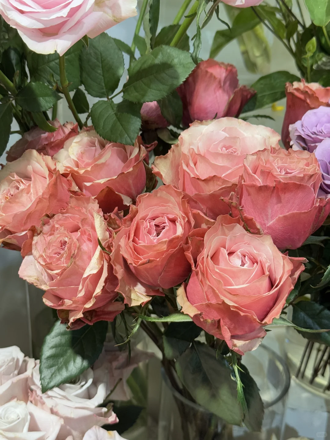 茅台这样送礼物