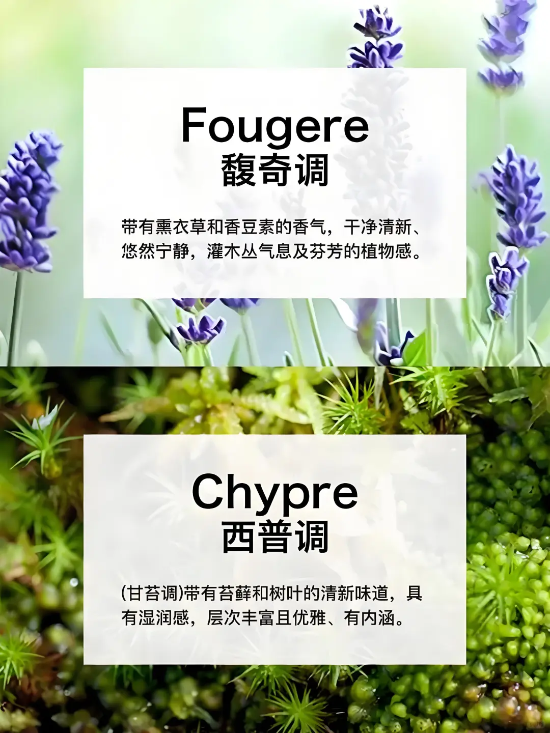 香水香调类型分类及介绍