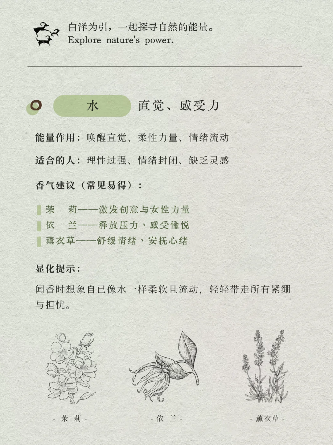 日常可得版：金木水火土分别该用什么香？