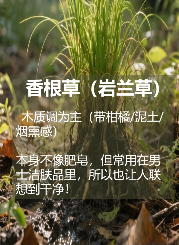 香气中的肥皂感竟然来自于这些