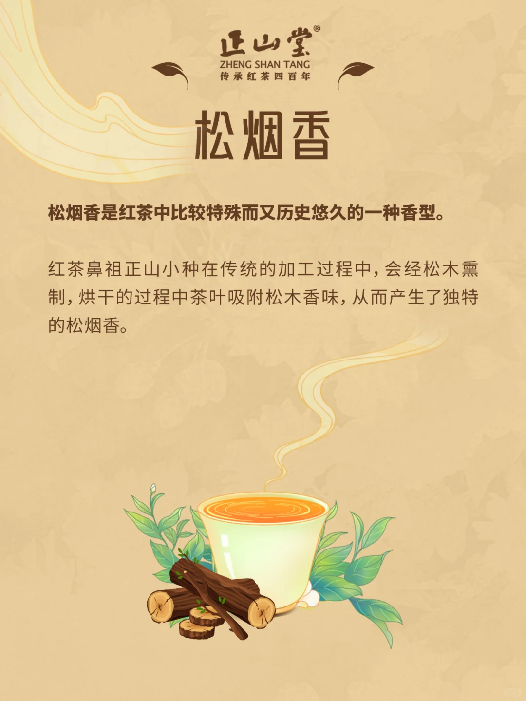 茶知识?红茶的八大香型，你品到过吗？