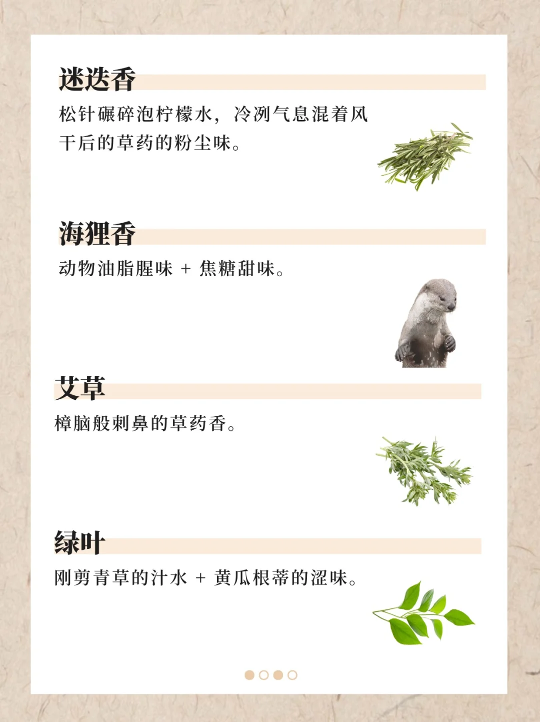 香水香料气味词典（上）｜122种香料气味翻译