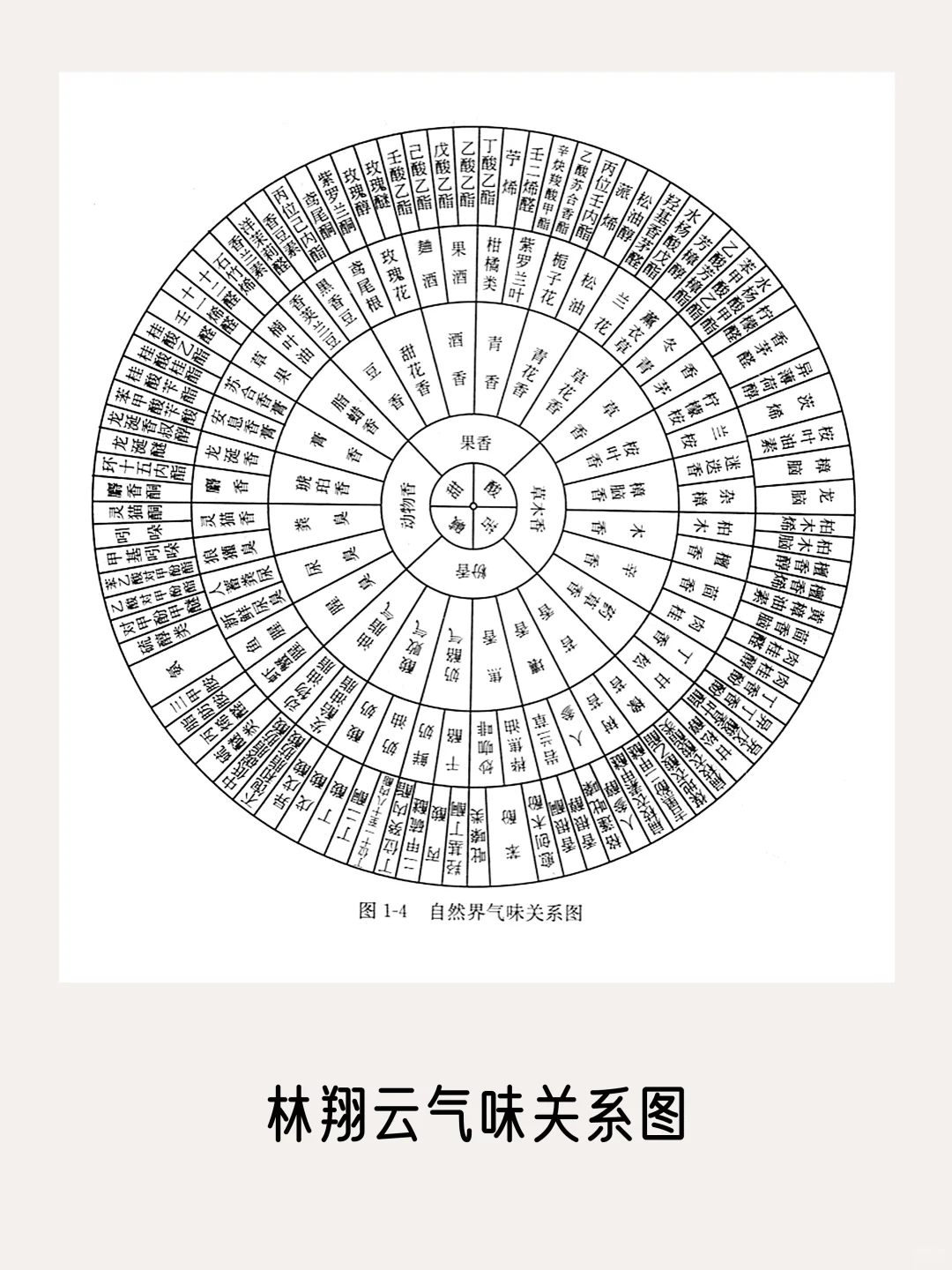 一篇看完所有【香气分类法】