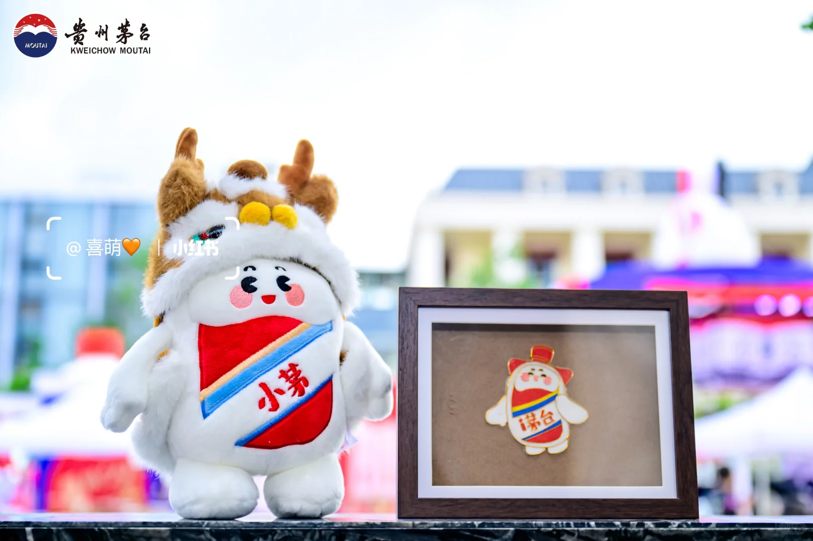 活动分享|以搭子文化为活动切入点???