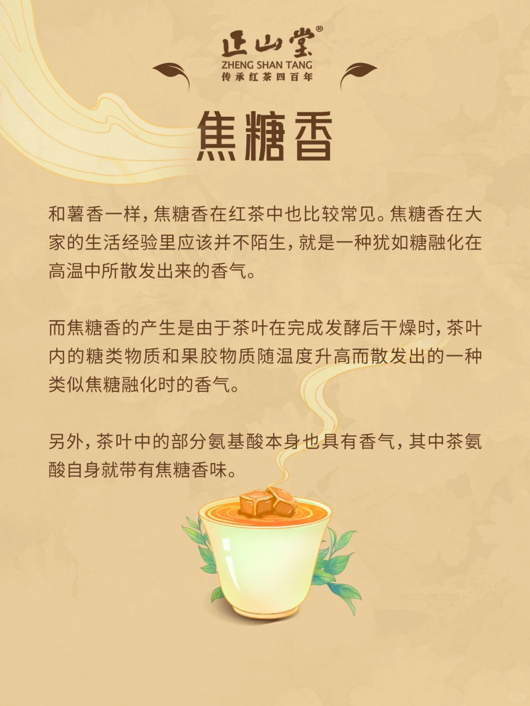 茶知识?红茶的八大香型，你品到过吗？