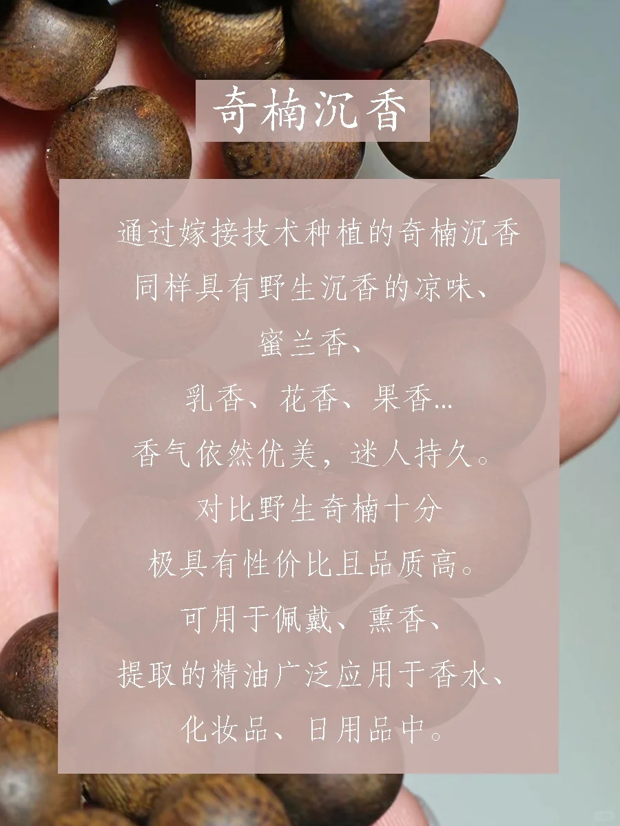 沉香的12种关键香气