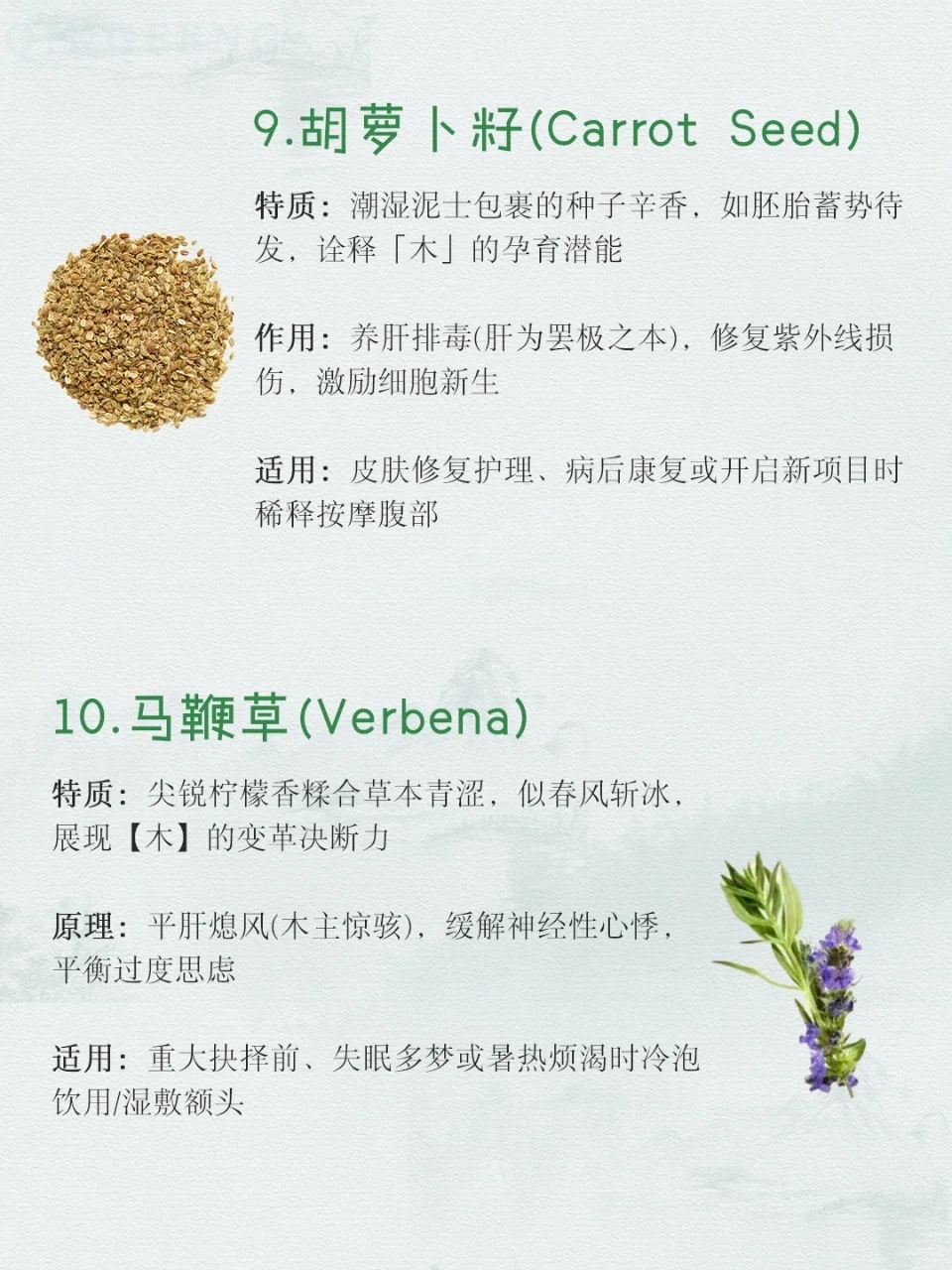 适合喜木之人的木质香气