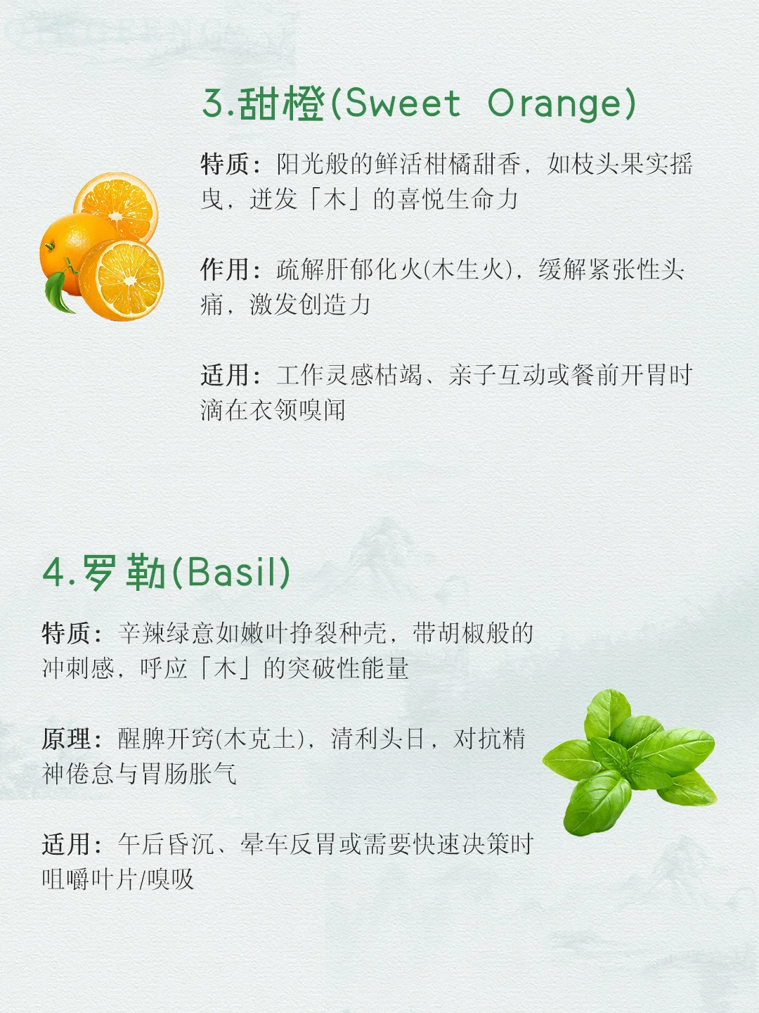 适合喜木之人的木质香气