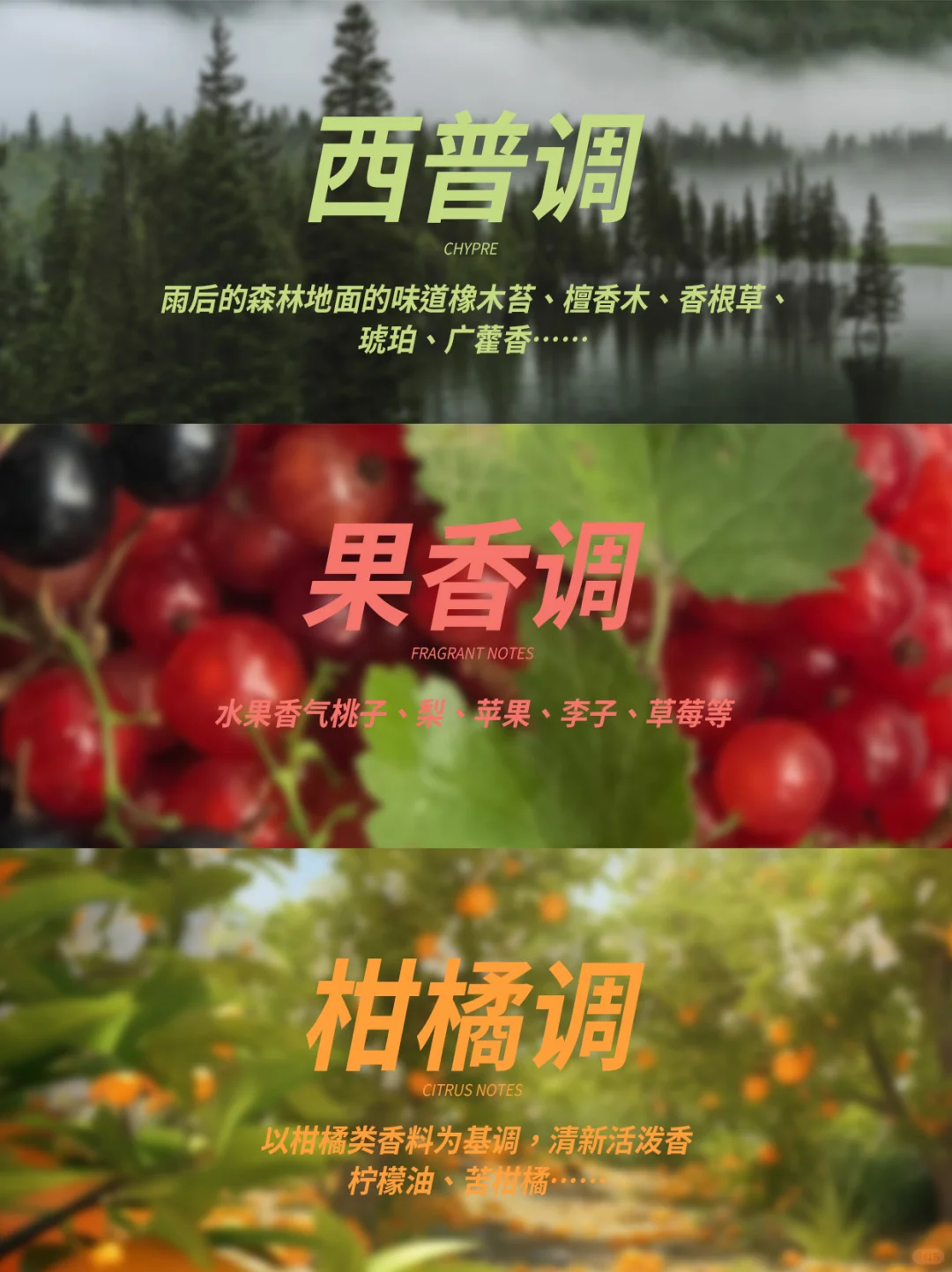 新手必看?一分钟找到你的本命香！