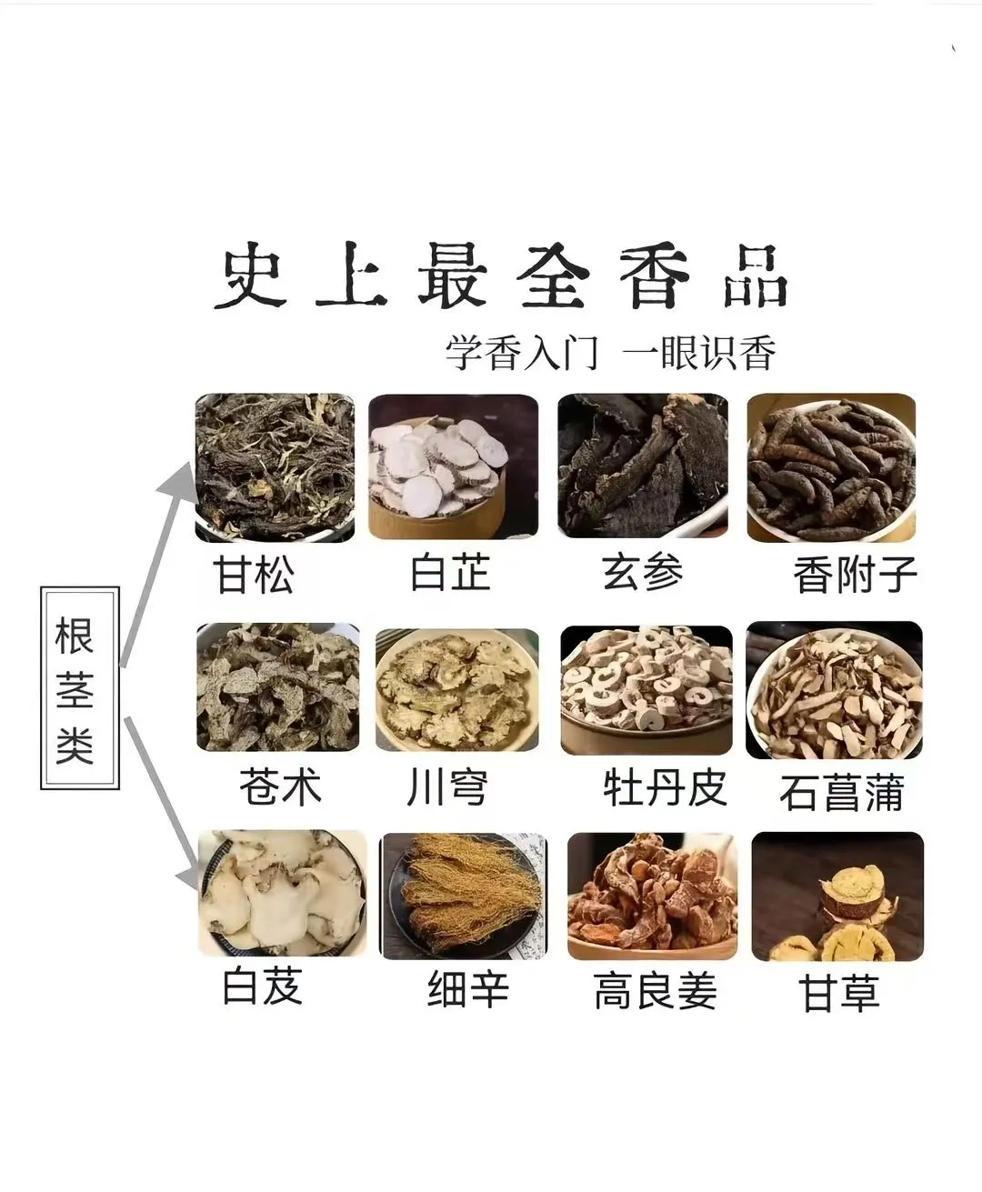 你可知道史上的香料都有哪些吗？