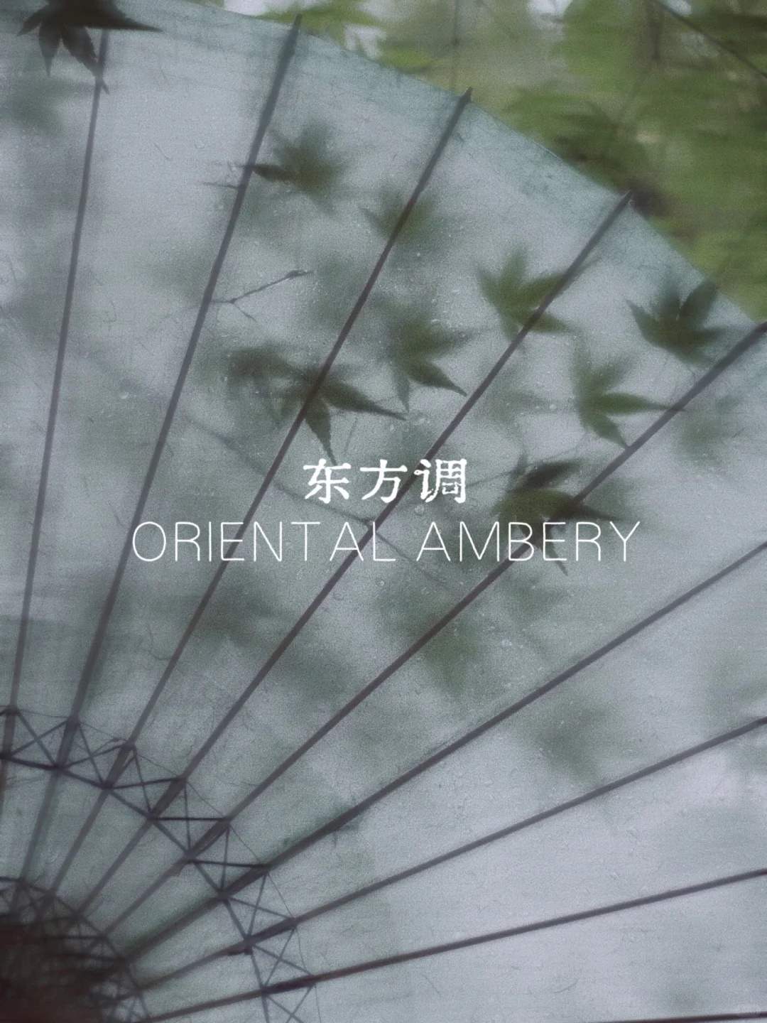 小白香水科普｜一分钟找到属于你的香调！