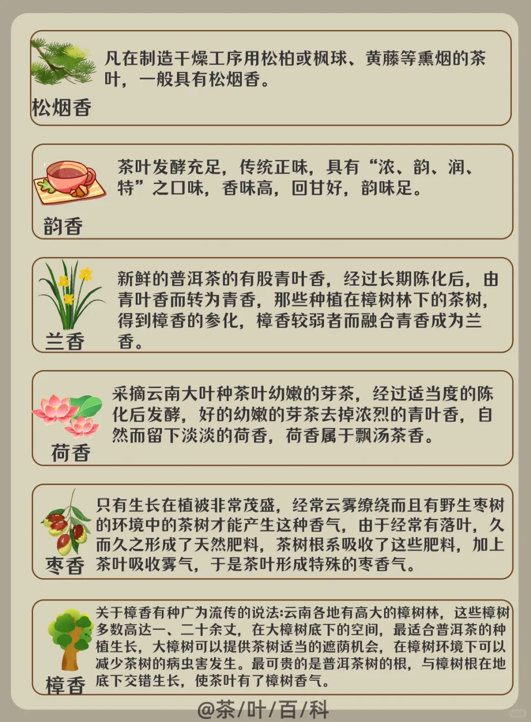 茶知识|茶叶的30种香气,你喜欢哪种?