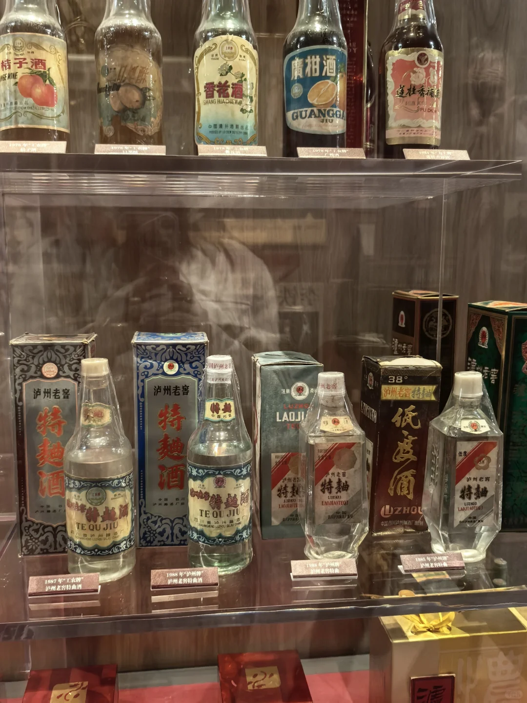 老酒收藏家的白月光