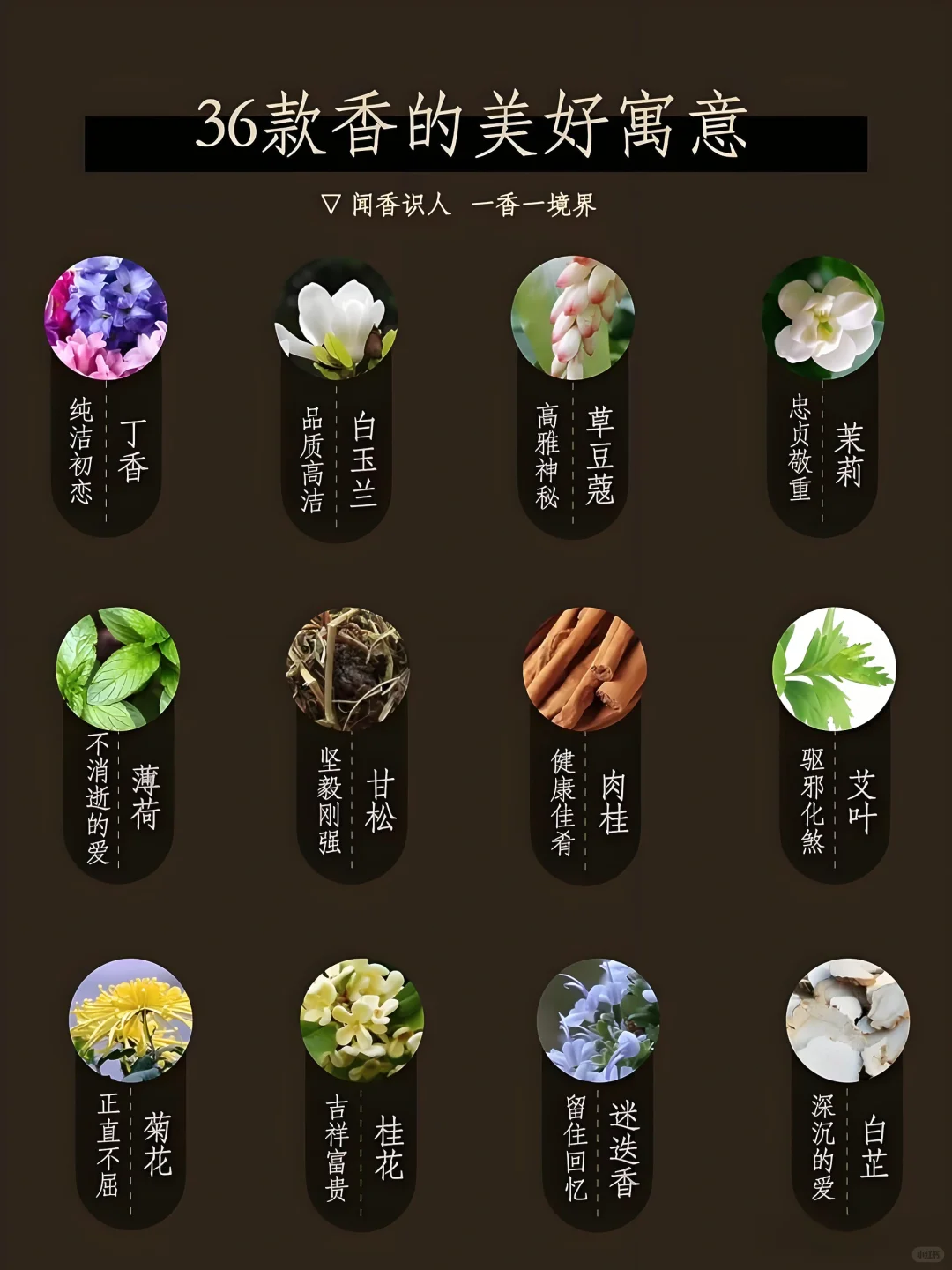 ?36款香寓意哪些美好｜闻香识人也可观己