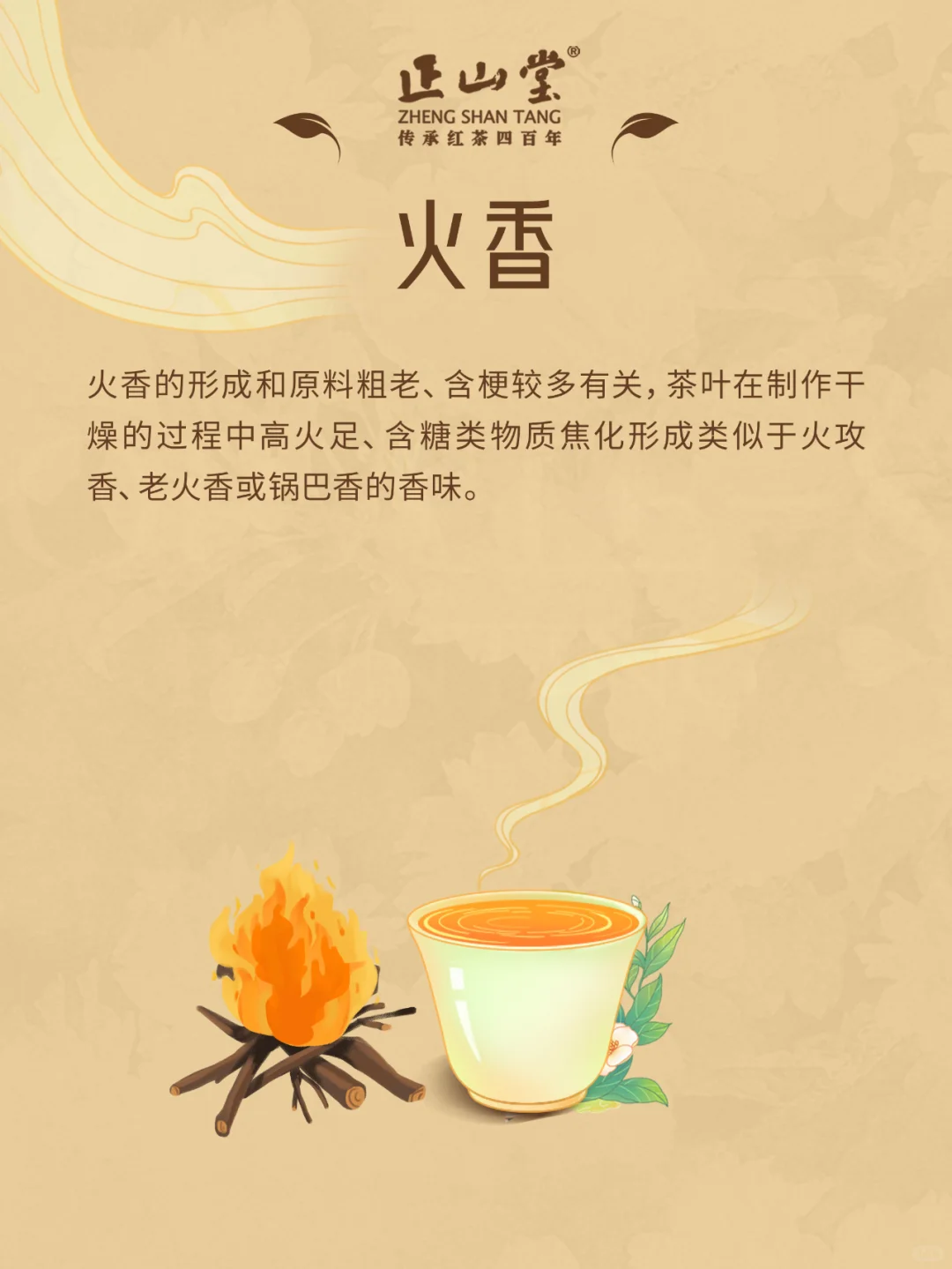 茶知识?红茶的八大香型，你品到过吗？