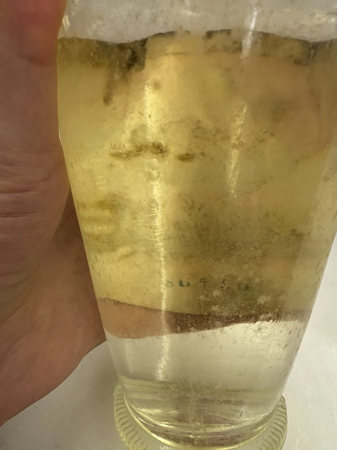 家里居然还有瓶86年的五粮液?