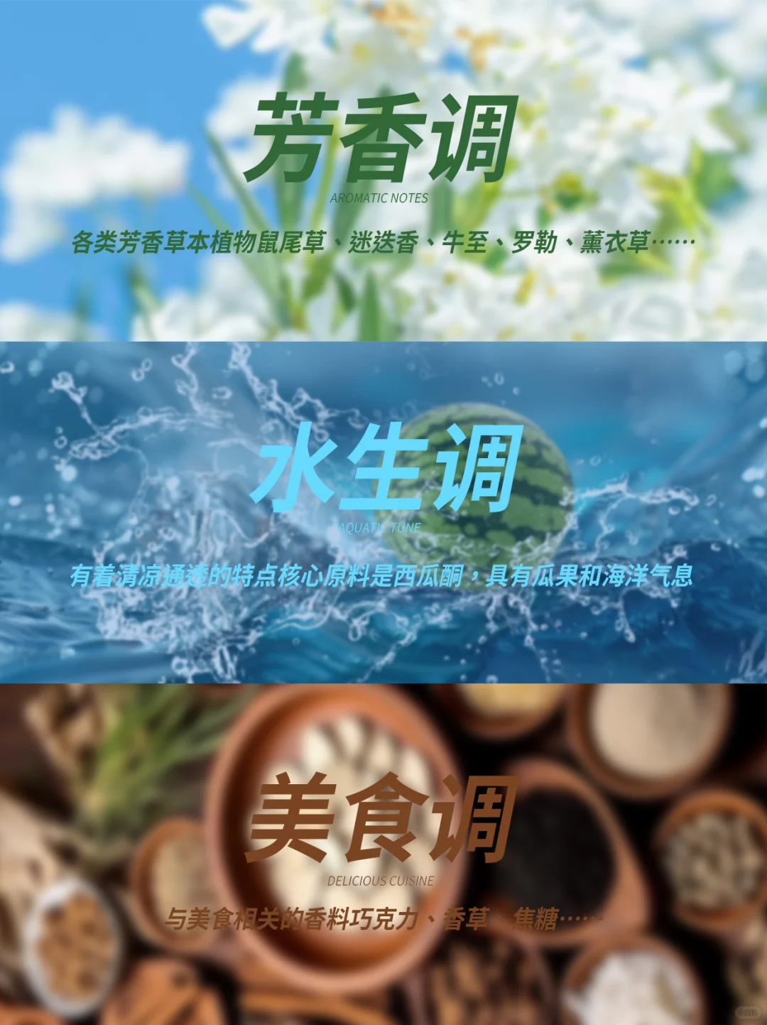 新手必看?一分钟找到你的本命香！