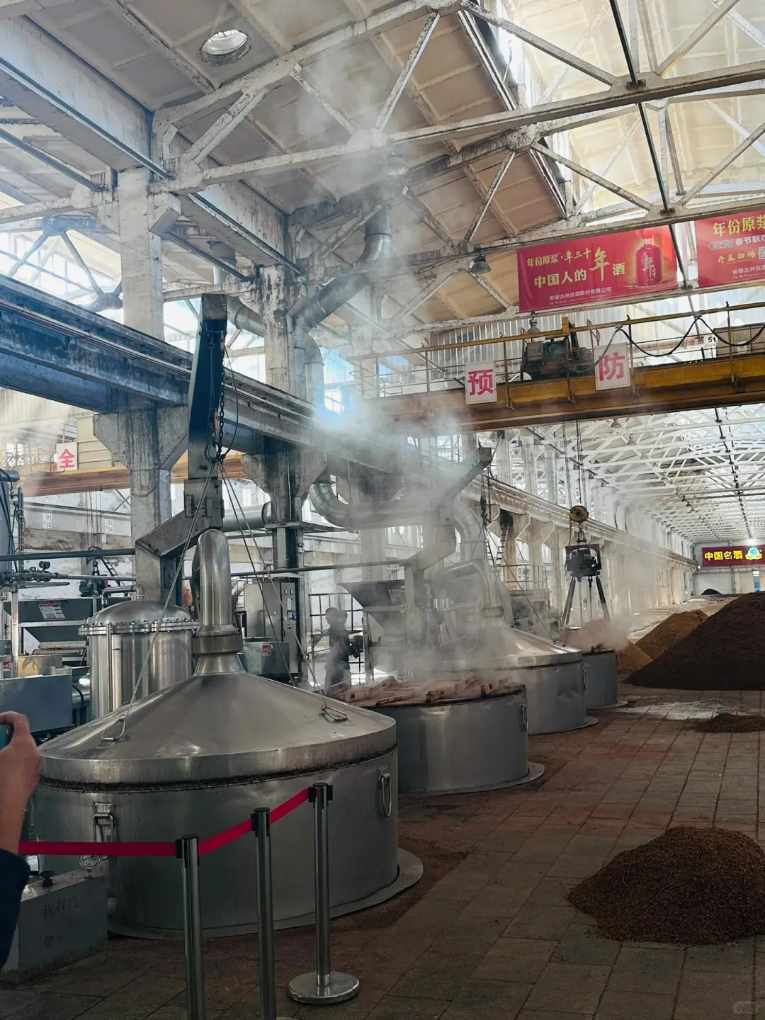 全民读“亳” 古井贡